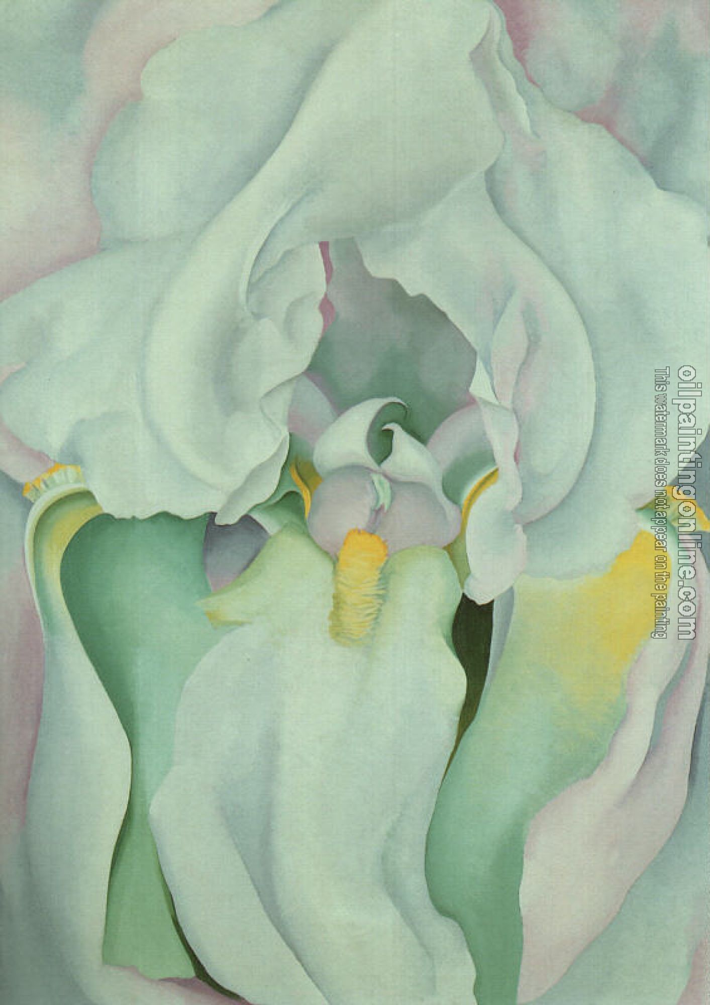 O Keeffe, Georgia - Light Iris